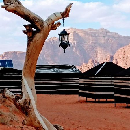 Hotel Wadi rum adventure tours &camp Extérieur photo