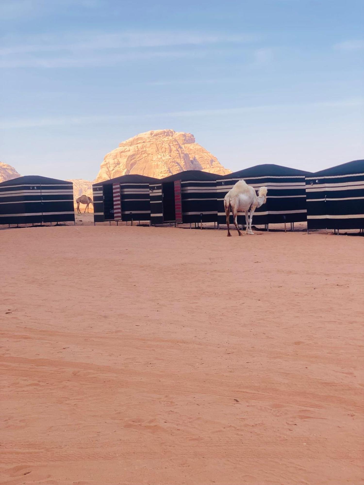 Hotel Wadi rum adventure tours &camp Extérieur photo